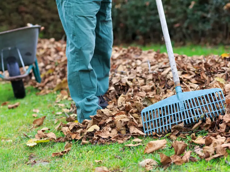 Gartenpflege & Heckenschnitt – Symbolbild