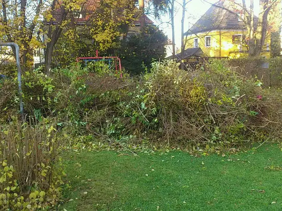 Gartenfläche aus unserer bisherigen Arbeit